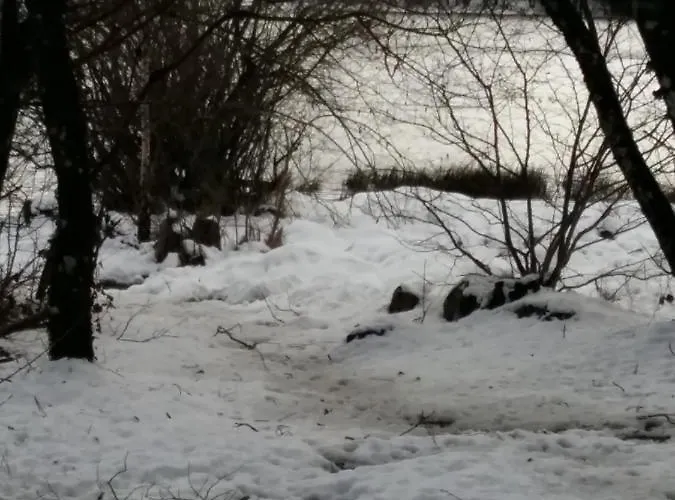 Quai De L ' Arnette 住宿加早餐酒店 3*