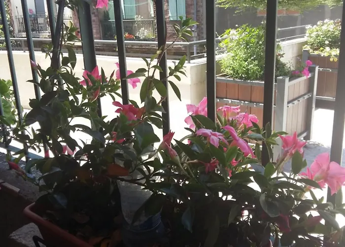 Quai De L ' Arnette Отель типа 